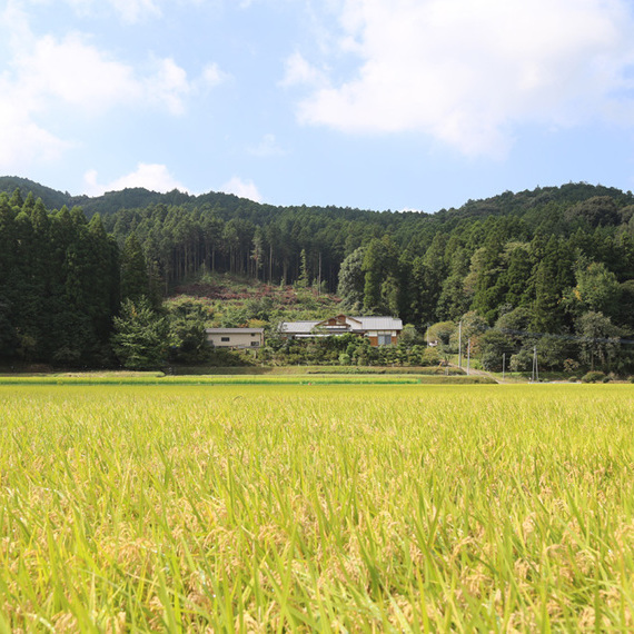 03-デッキからの眺めを楽しむ小高い丘に建つ家-福岡県朝倉市日向石_1963-980