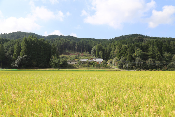 デッキからの眺めを楽しむ小高い丘に建つ家 | 河上工務店｜福岡県朝倉