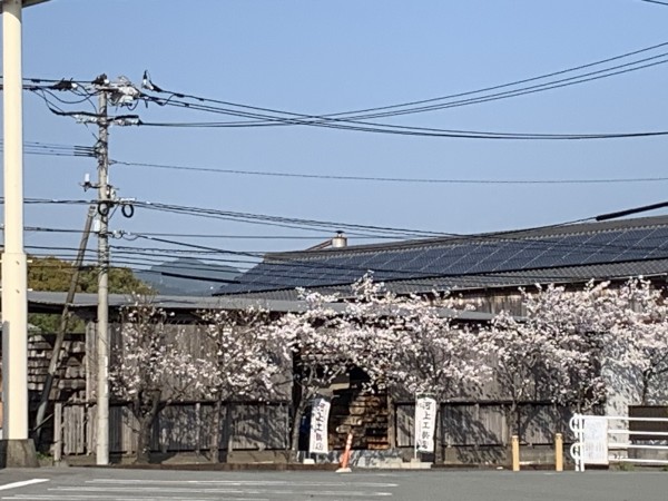 モデルハウス見学会にご来場いただきました。パート2サムネイル